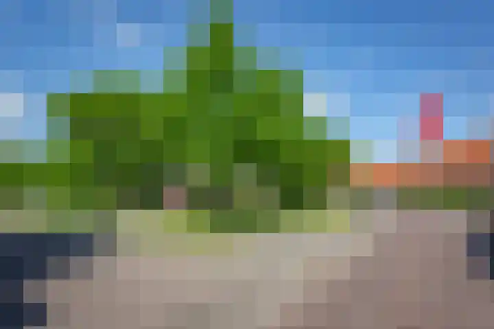 Lindenlaan 27 Zaandam thumbnail 40