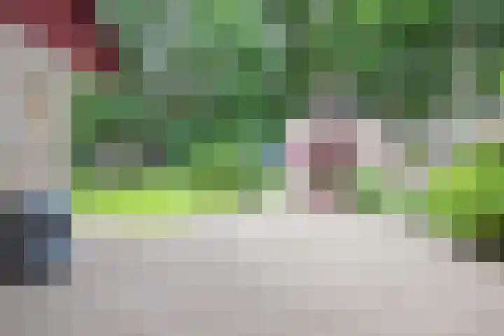 Lindenlaan 28 Maarn thumbnail 32