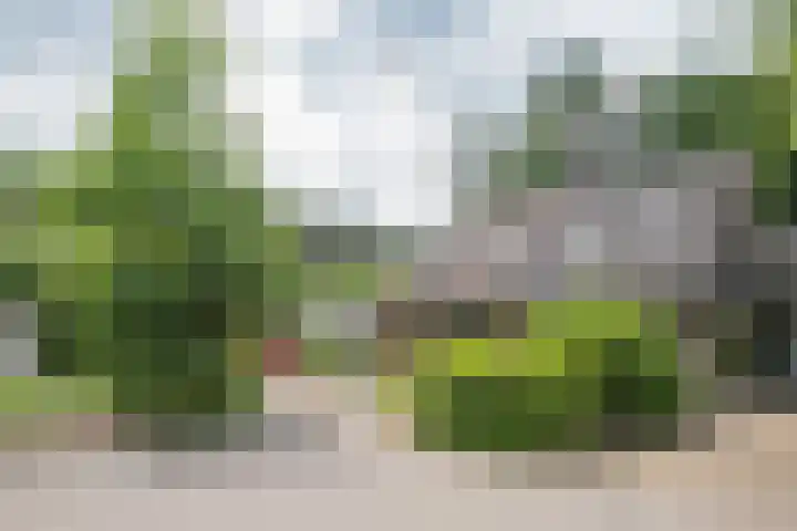 Lindenlaan 28 Maarn thumbnail 40