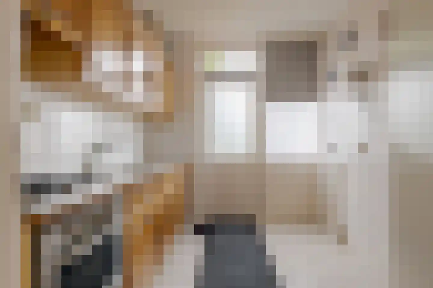 Lindenlaan 28 Staphorst thumbnail 8