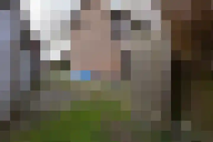 Lindenlaan 29 Geleen thumbnail 19