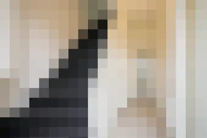 Lindenlaan 29 Geleen thumbnail 8