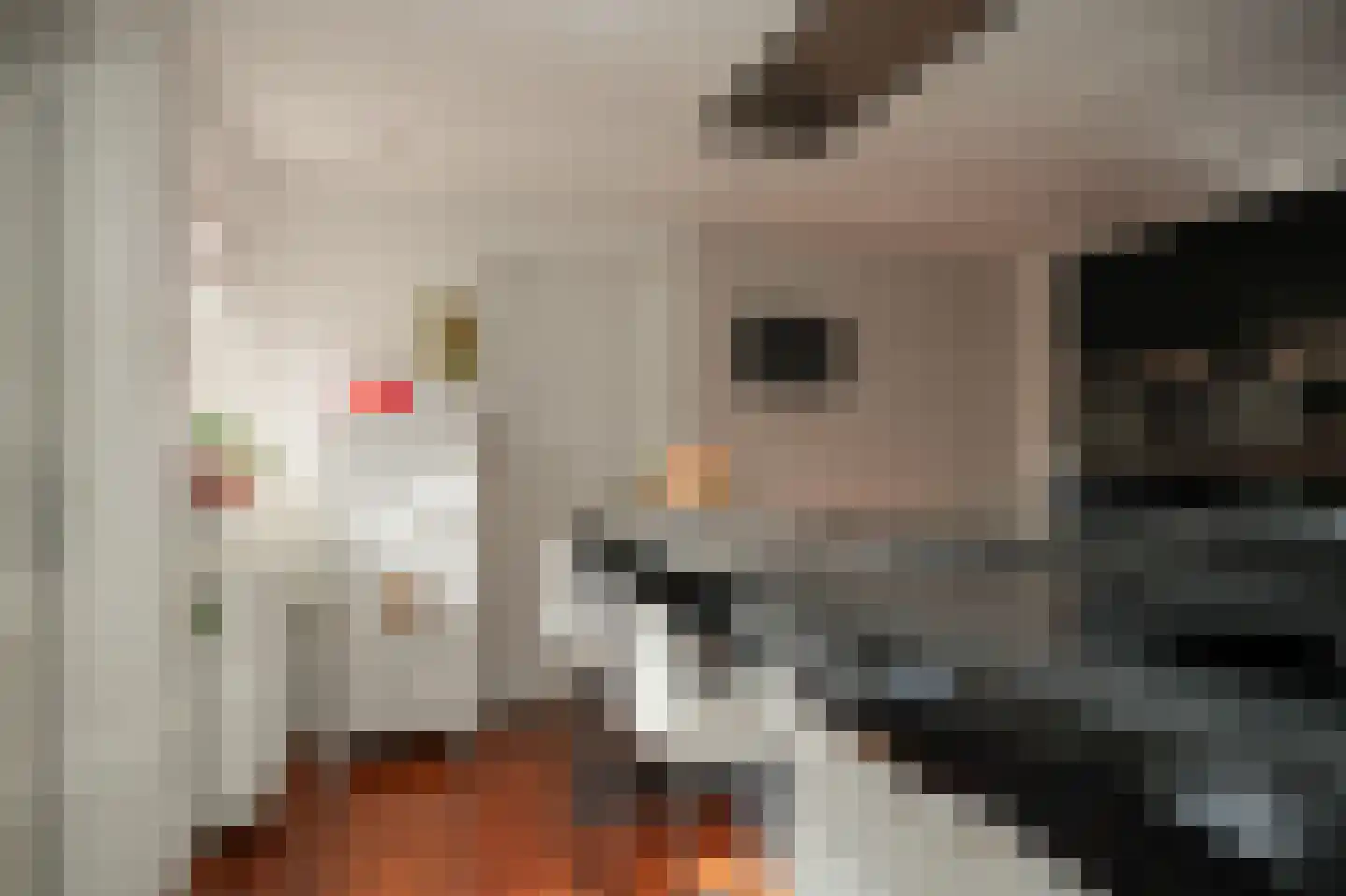 Lindenlaan 3 Alphen thumbnail 15