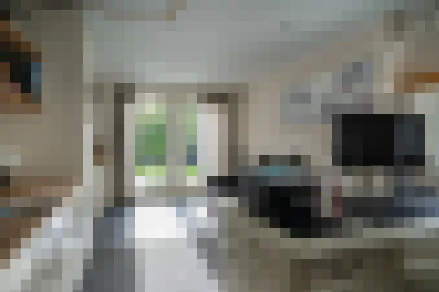 Lindenlaan 3 Alphen thumbnail 19