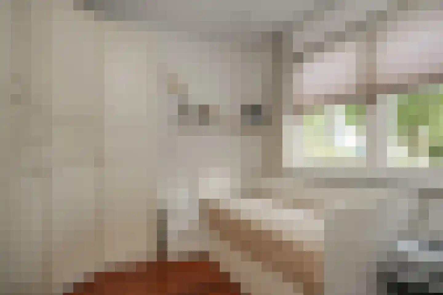 Lindenlaan 3 Alphen thumbnail 22