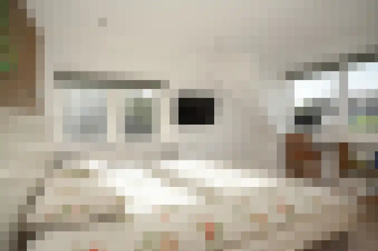 Lindenlaan 3 Alphen thumbnail 28