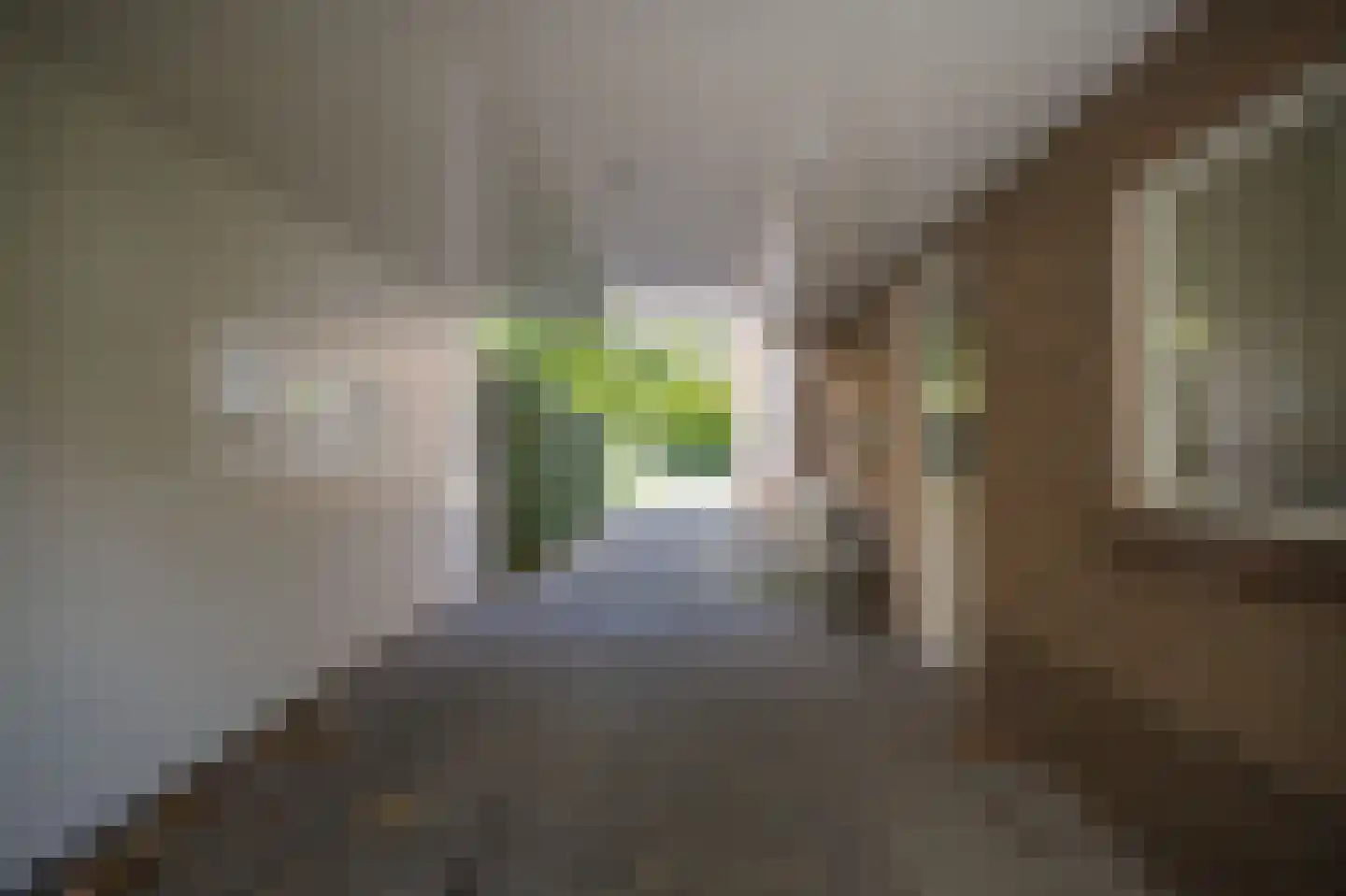 Lindenlaan 3 Alphen thumbnail 48