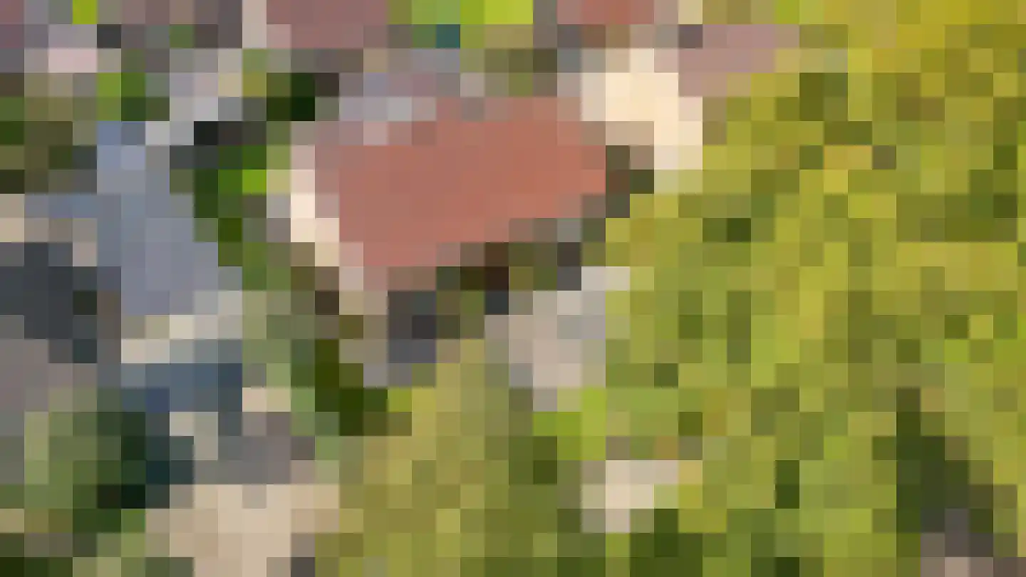 Lindenlaan 3 Alphen thumbnail 56