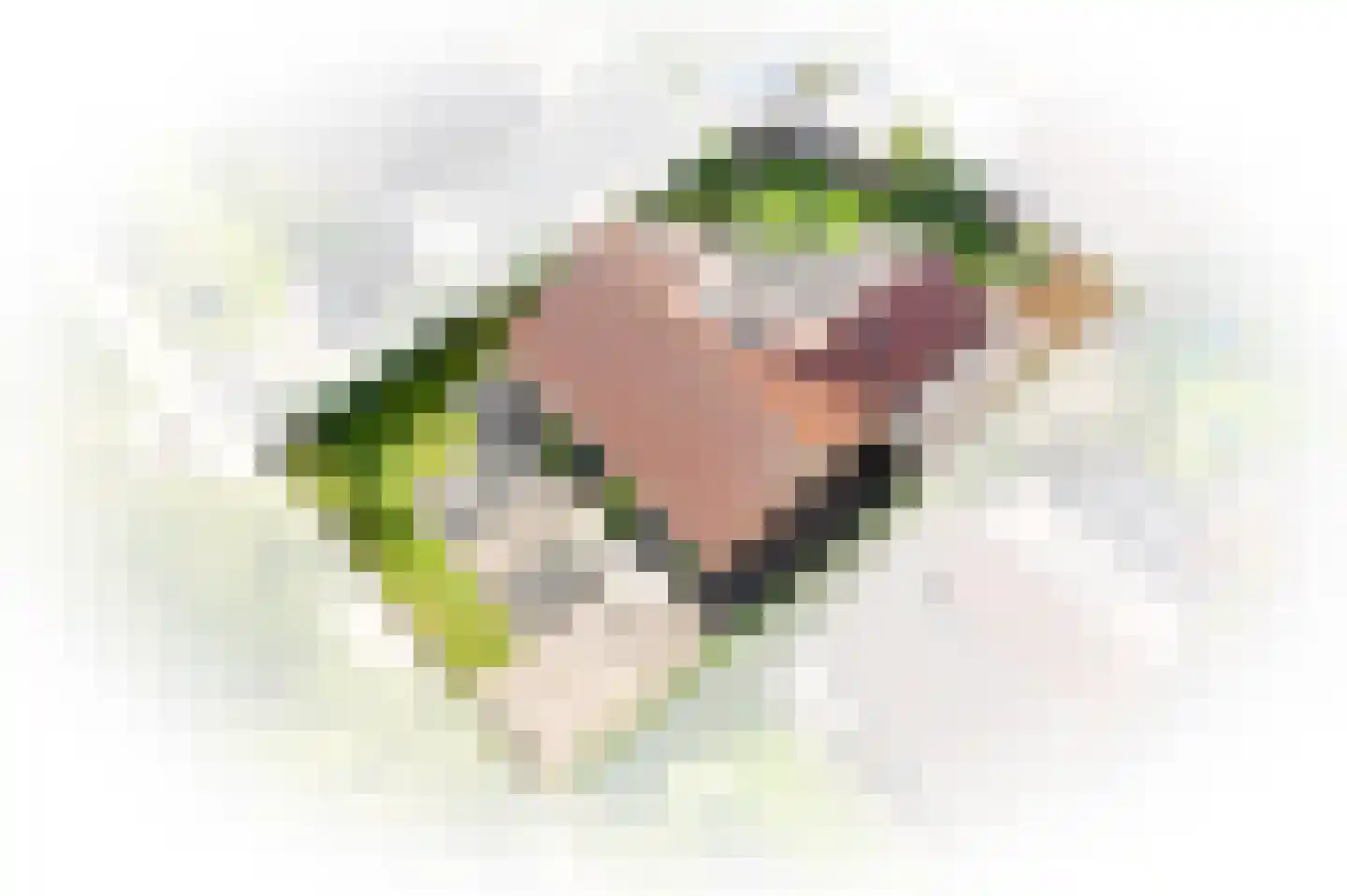 Lindenlaan 3 Alphen thumbnail 58