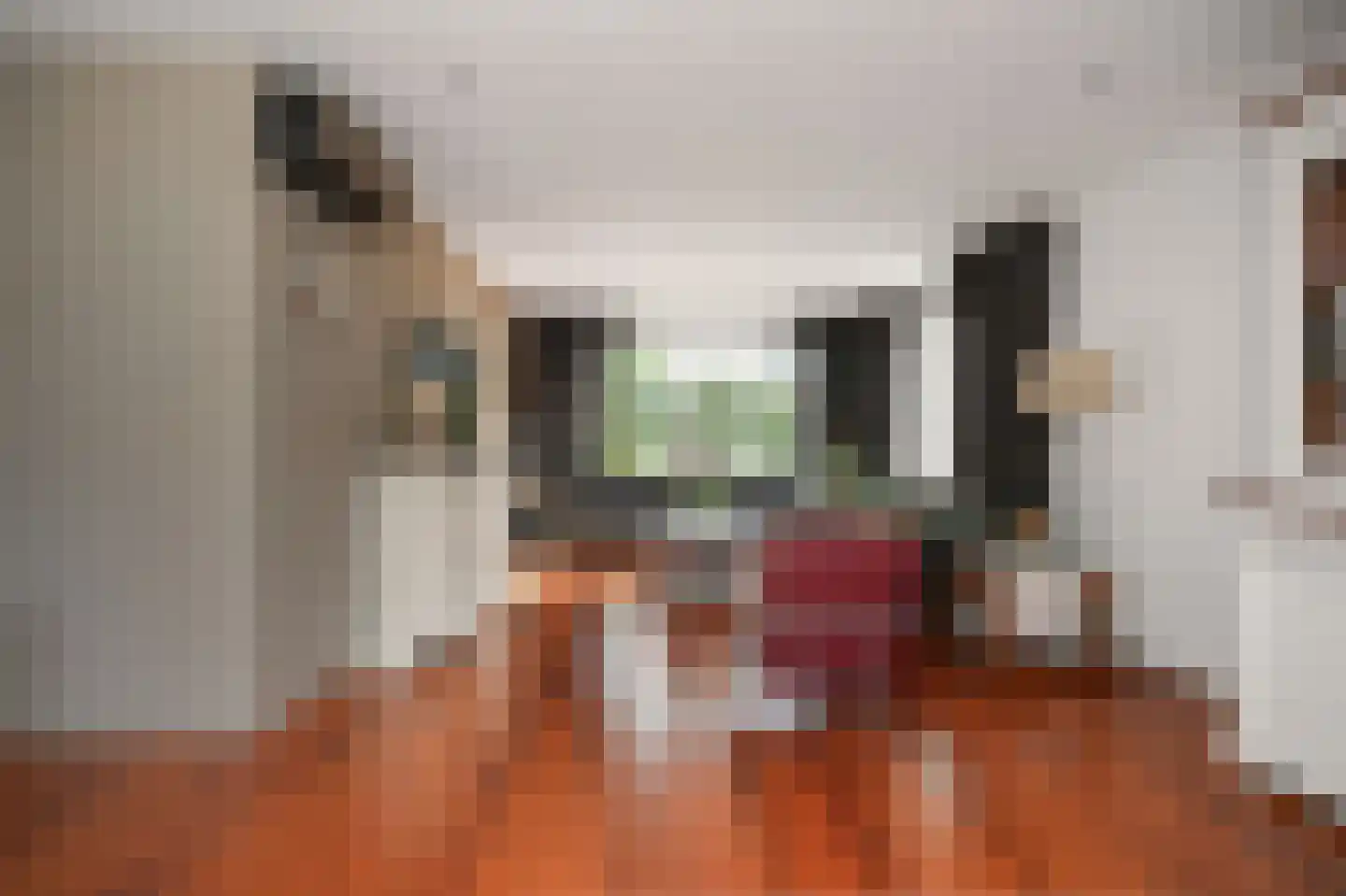 Lindenlaan 3 Alphen thumbnail 6