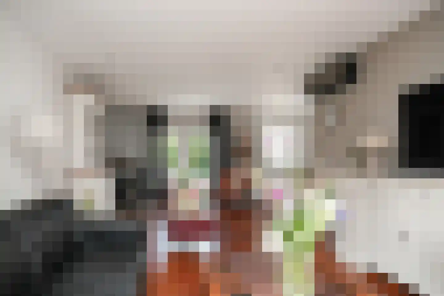 Lindenlaan 3 Alphen thumbnail 7