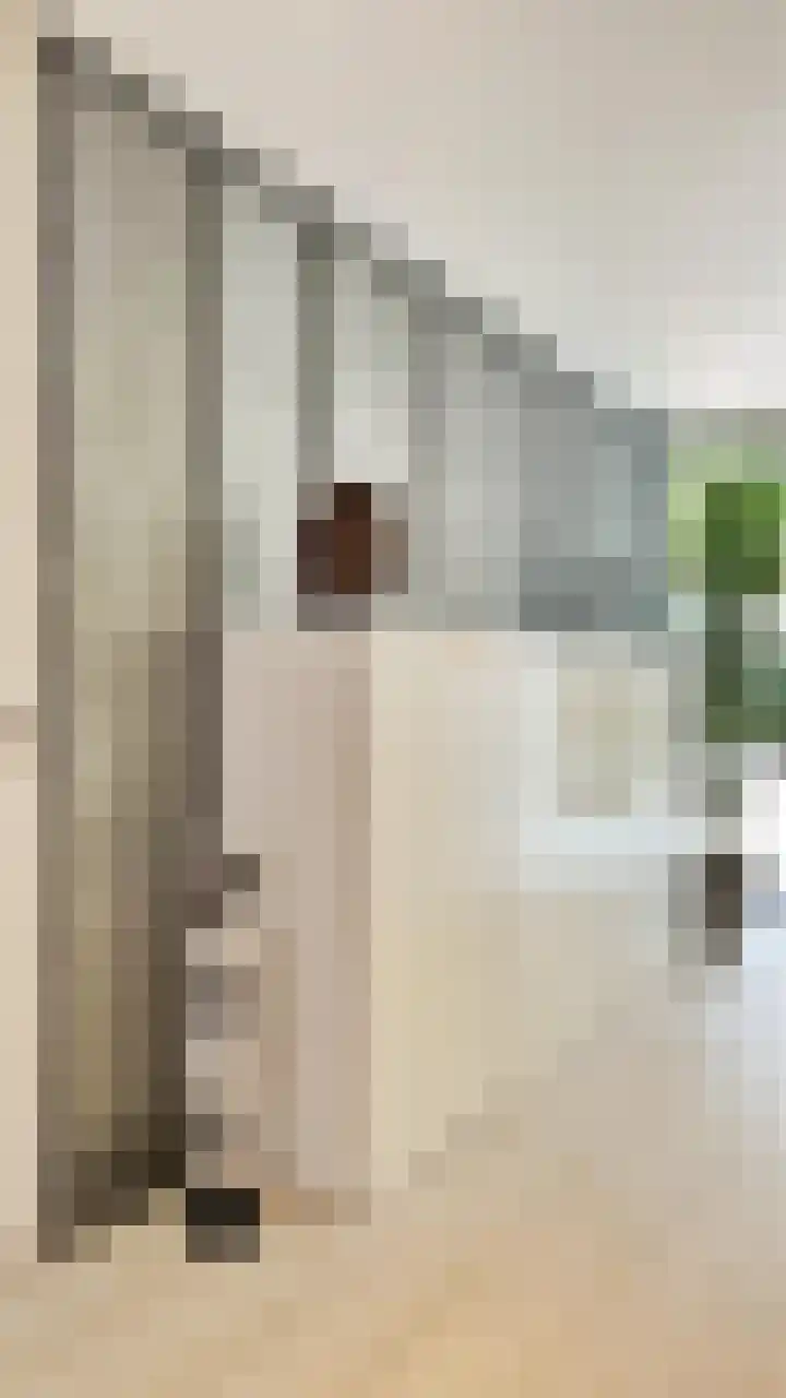 Lindenlaan 3 Hoogeveen thumbnail 10