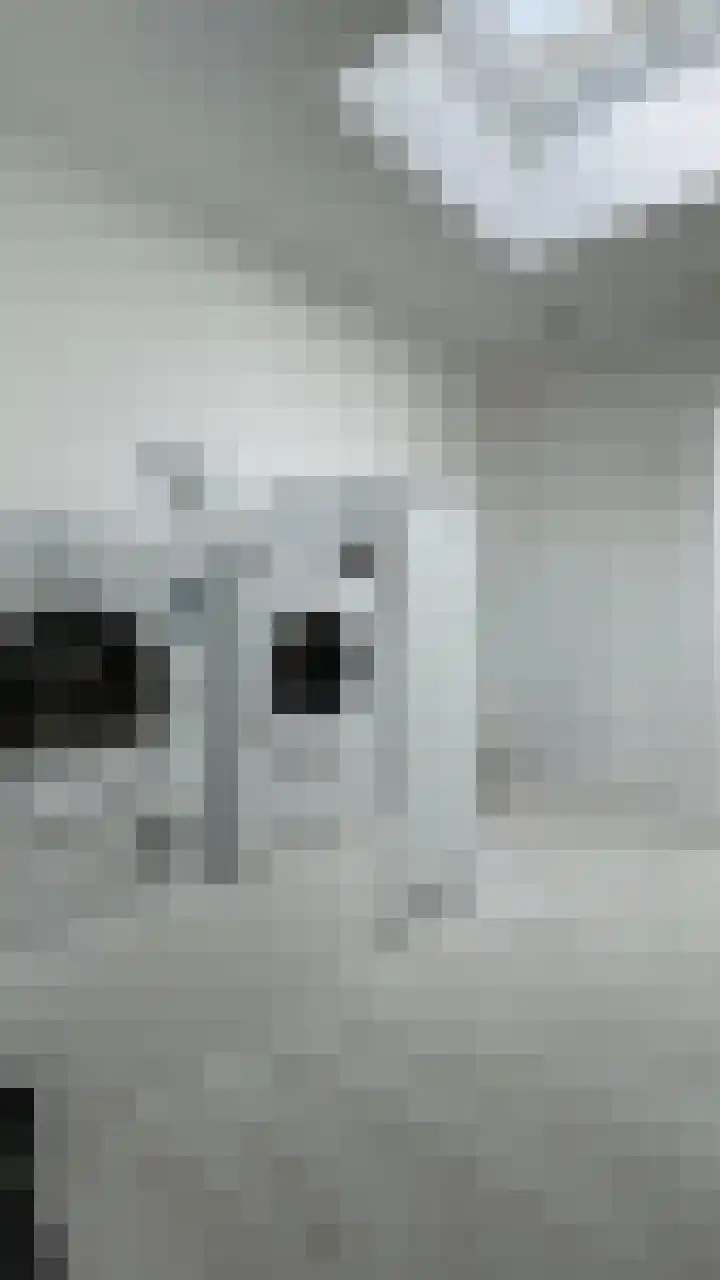 Lindenlaan 3 Hoogeveen thumbnail 20
