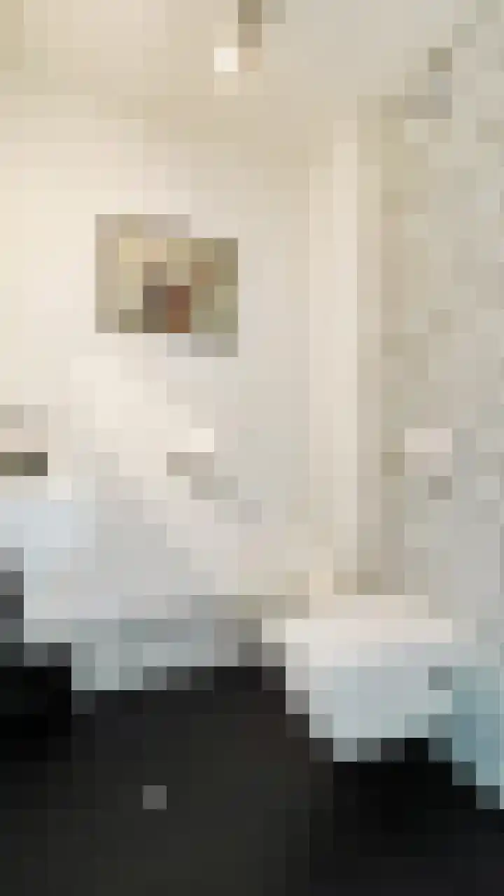 Lindenlaan 3 Hoogeveen thumbnail 22