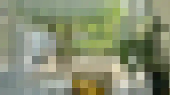 Lindenlaan 3 Hoogeveen thumbnail 43