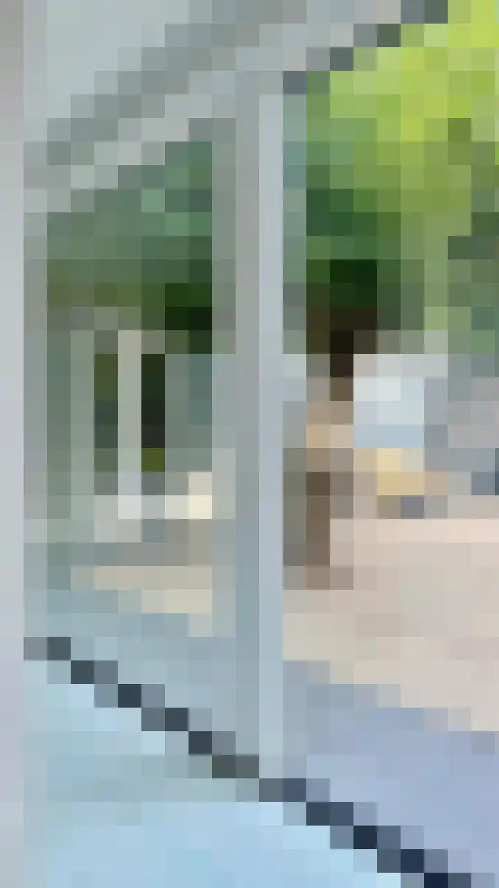 Lindenlaan 3 Hoogeveen thumbnail 44
