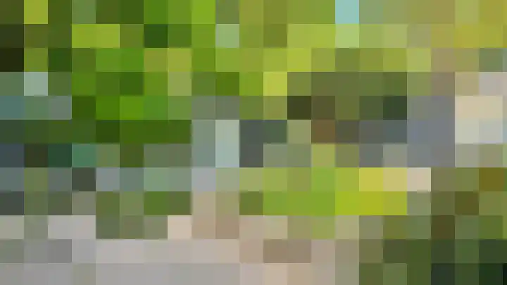 Lindenlaan 3 Hoogeveen thumbnail 46