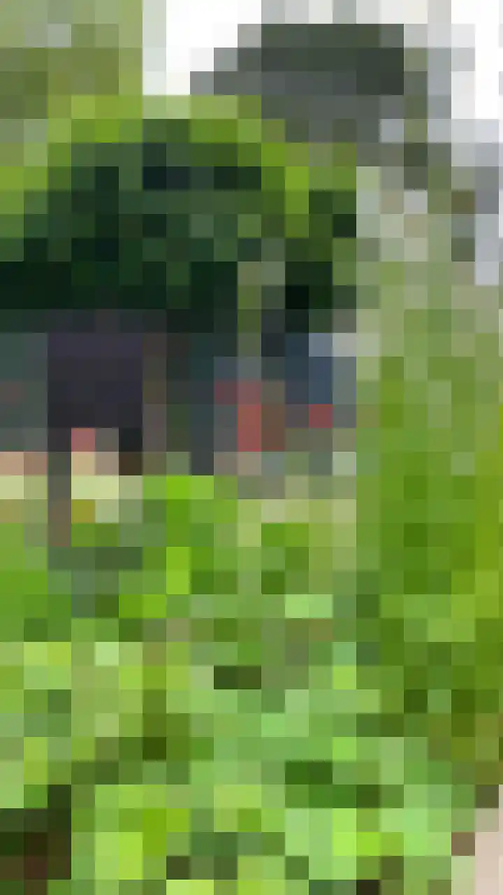 Lindenlaan 3 Hoogeveen thumbnail 47