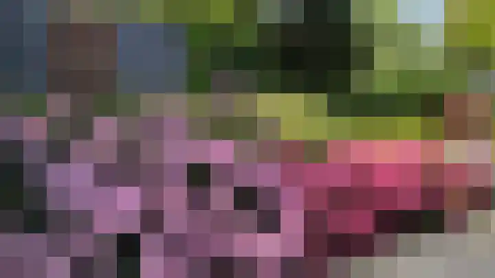 Lindenlaan 3 Hoogeveen thumbnail 48