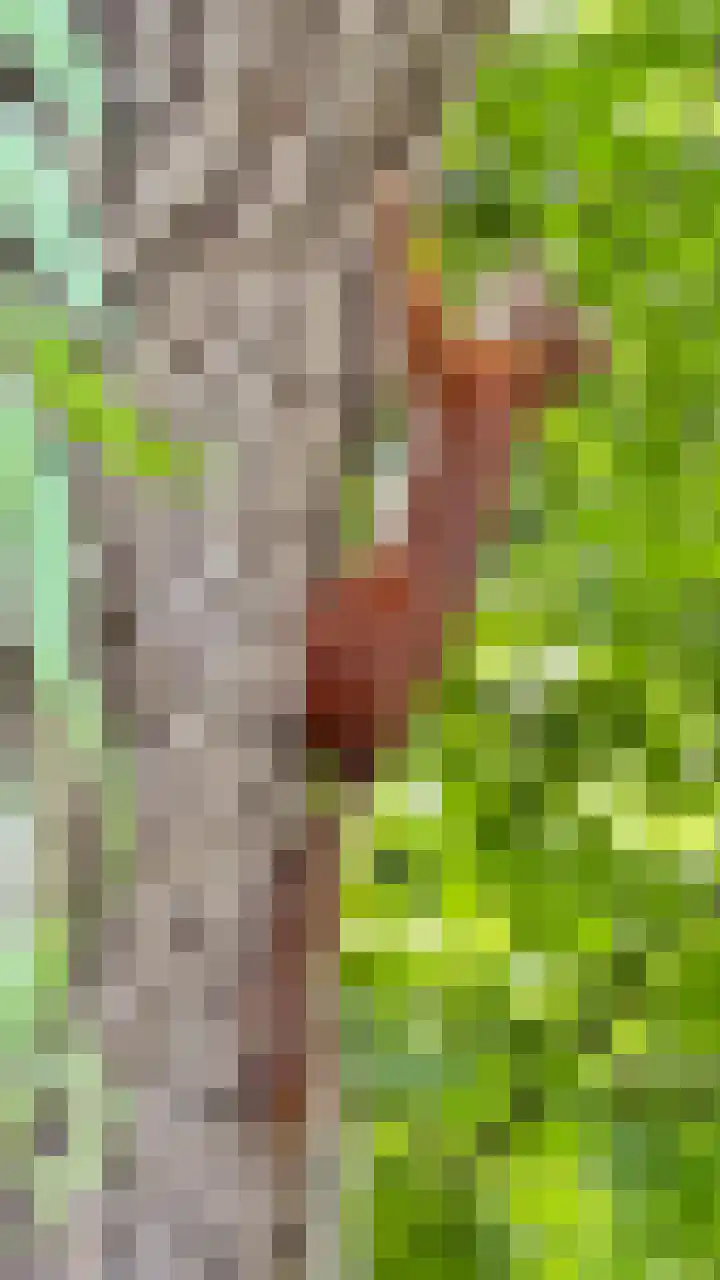 Lindenlaan 3 Hoogeveen thumbnail 63