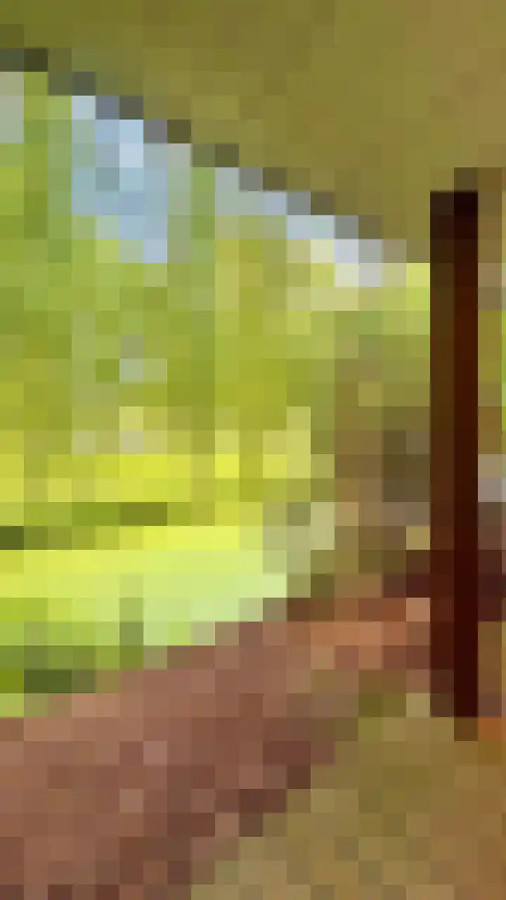 Lindenlaan 3 Hoogeveen thumbnail 7