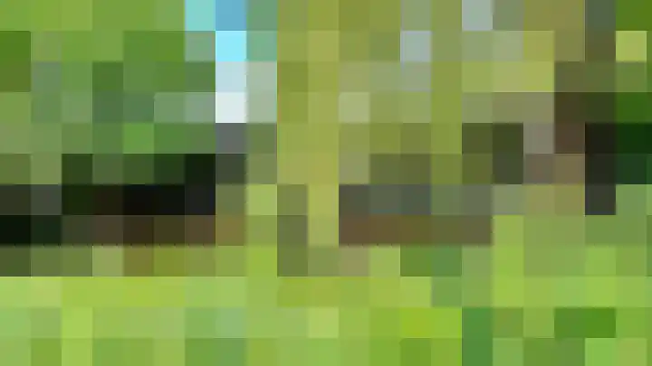 Lindenlaan 3 Hoogeveen thumbnail 8