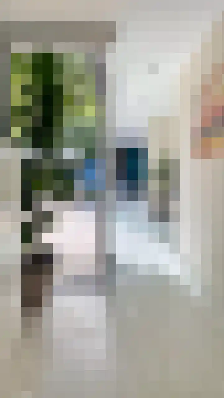 Lindenlaan 3 Hoogeveen thumbnail 9