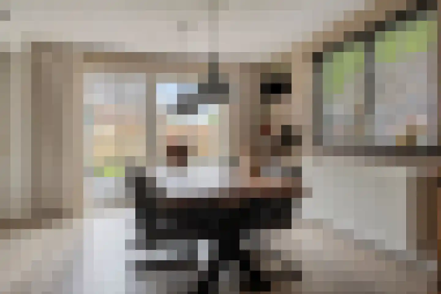 Lindenlaan 3 Mussel thumbnail 18