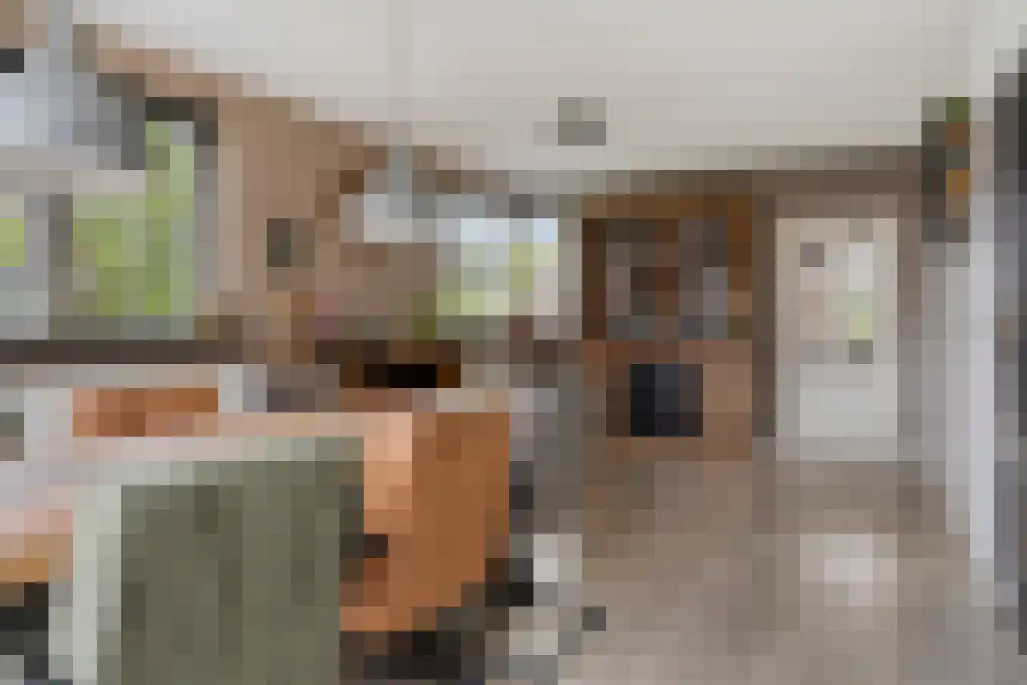 Lindenlaan 3 Mussel thumbnail 19