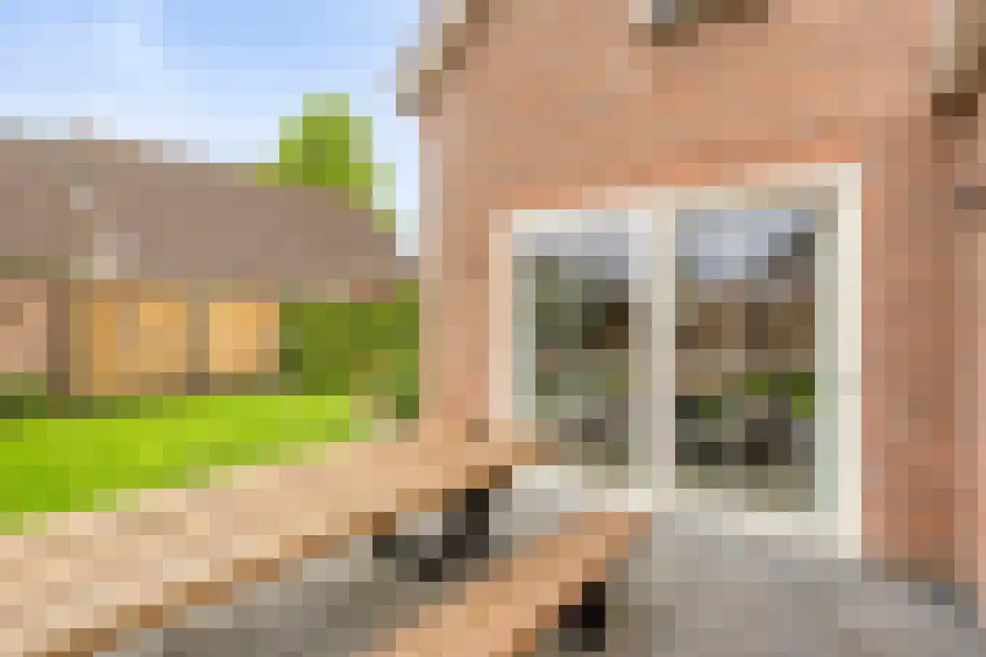 Lindenlaan 3 Mussel thumbnail 42