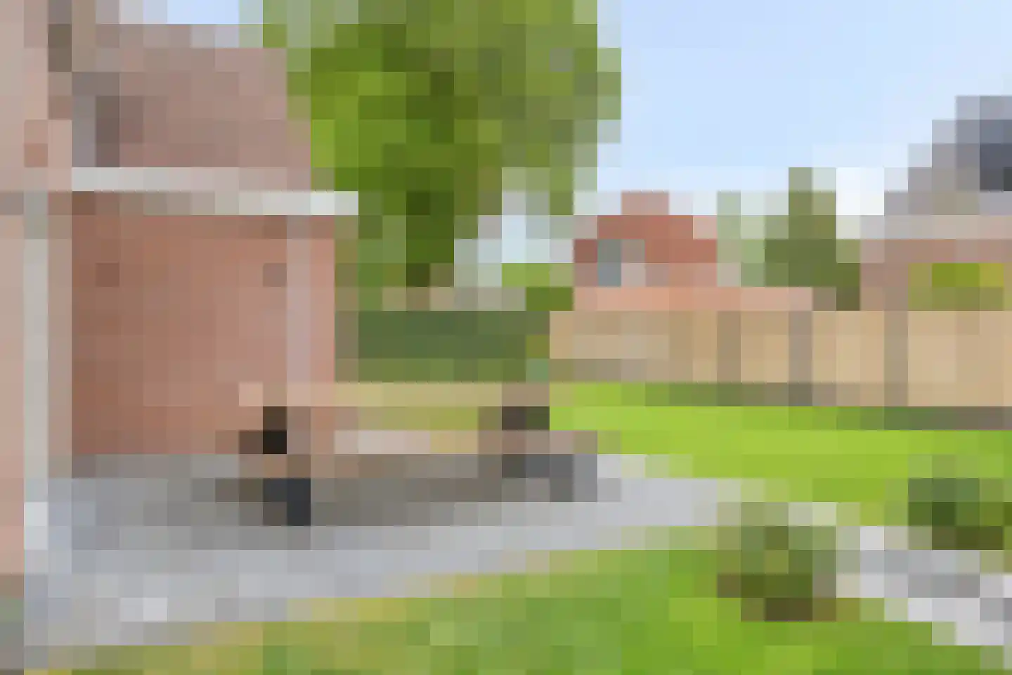 Lindenlaan 3 Mussel thumbnail 43