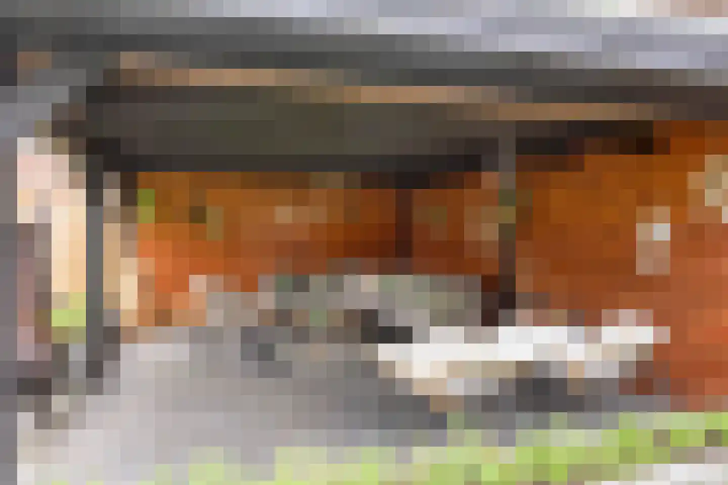 Lindenlaan 3 Mussel thumbnail 48