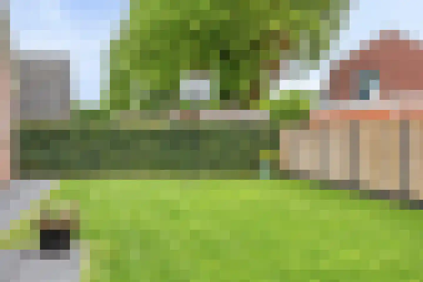 Lindenlaan 3 Mussel thumbnail 49