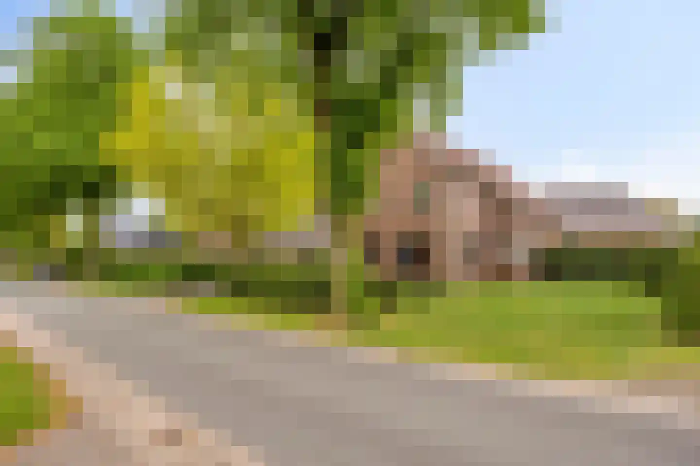 Lindenlaan 3 Mussel thumbnail 5