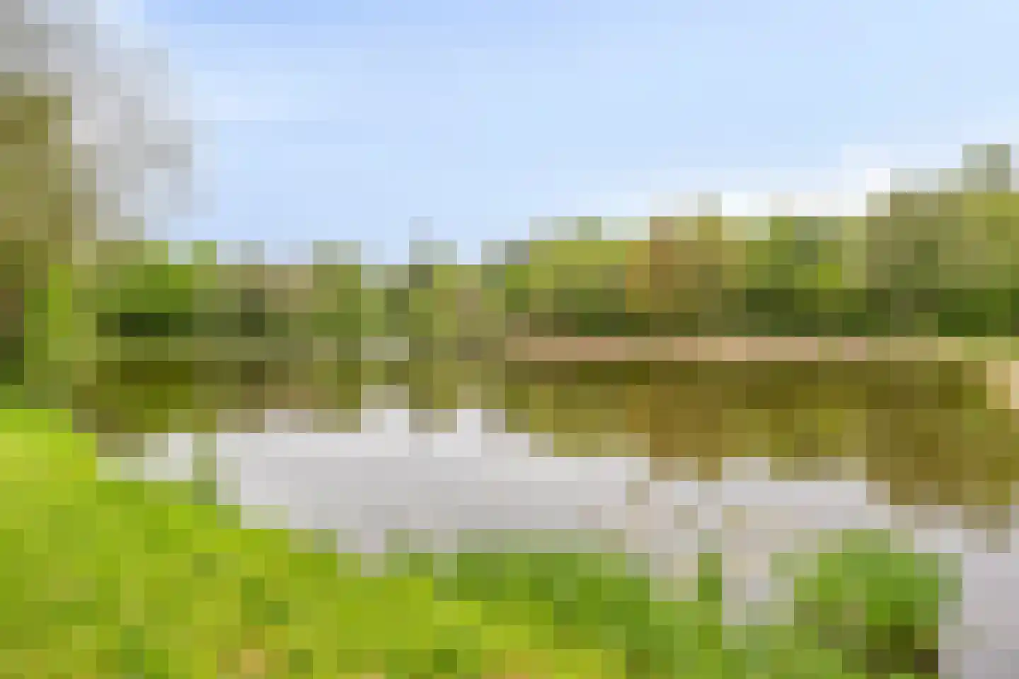 Lindenlaan 3 Mussel thumbnail 52
