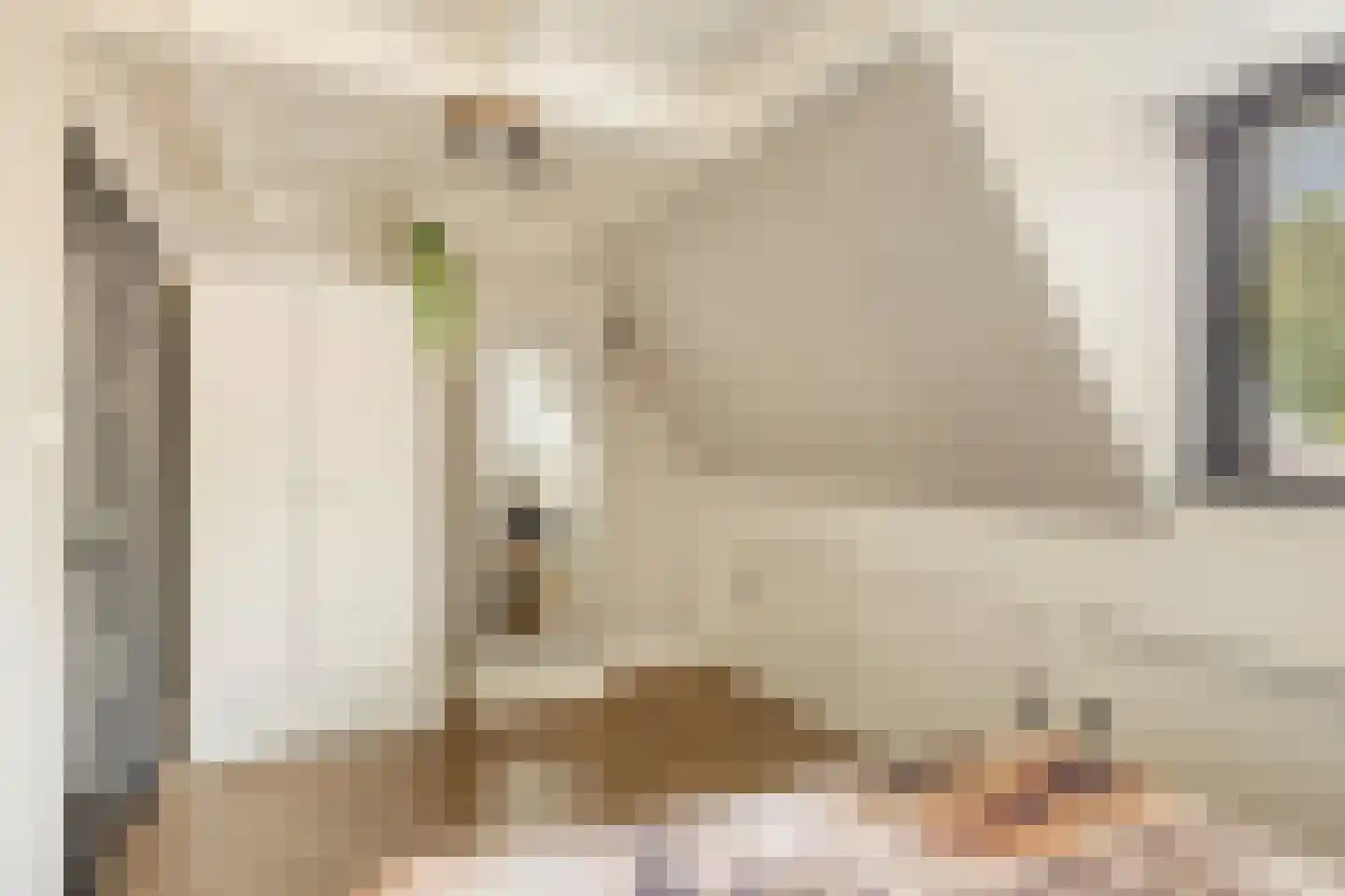 Lindenlaan 3 Rhenen thumbnail 17