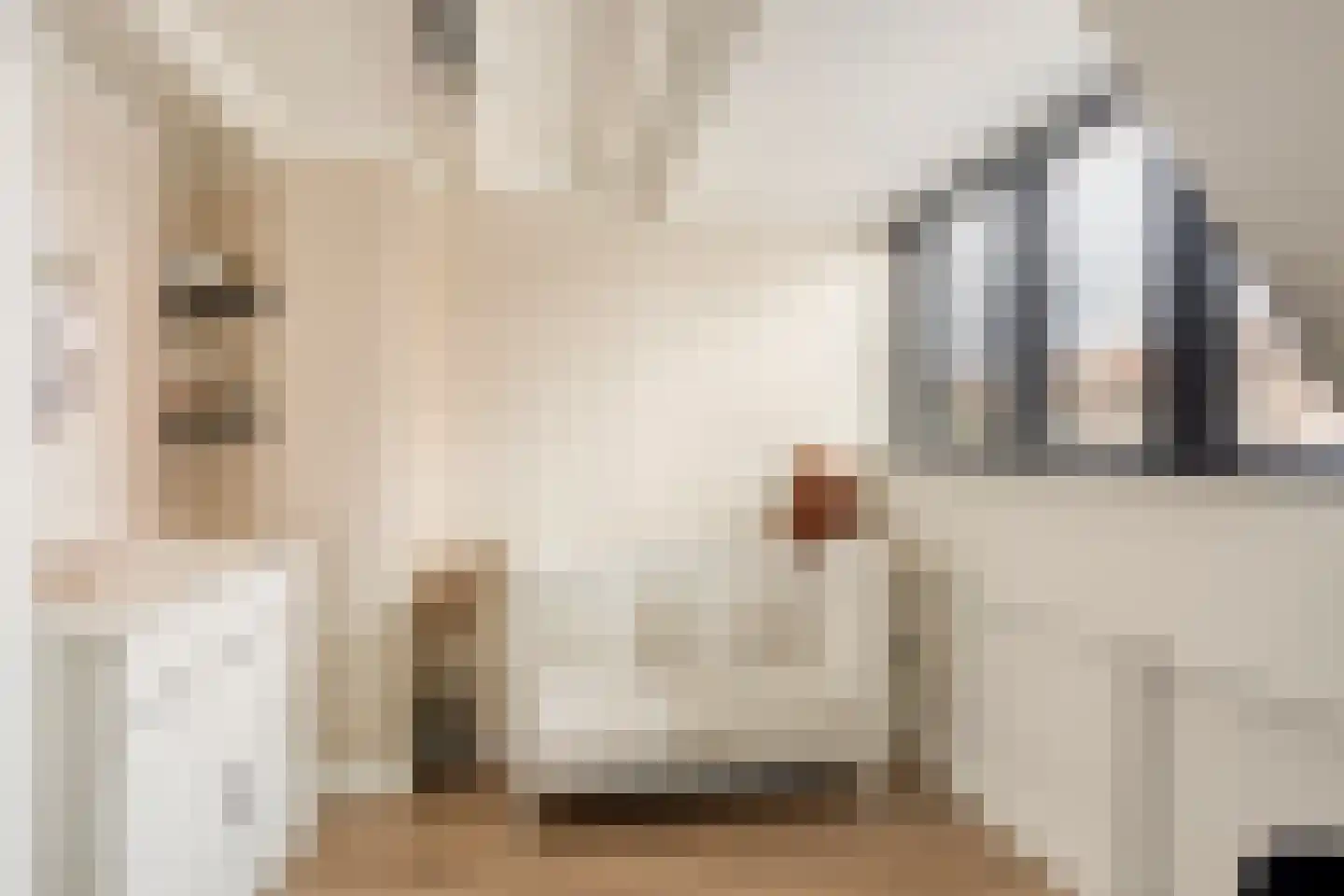 Lindenlaan 3 Rhenen thumbnail 18