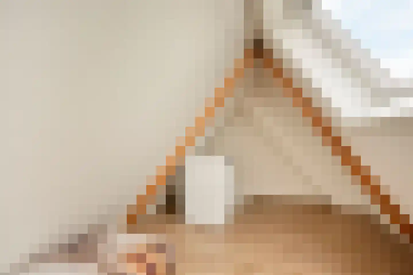 Lindenlaan 3 Rhenen thumbnail 23