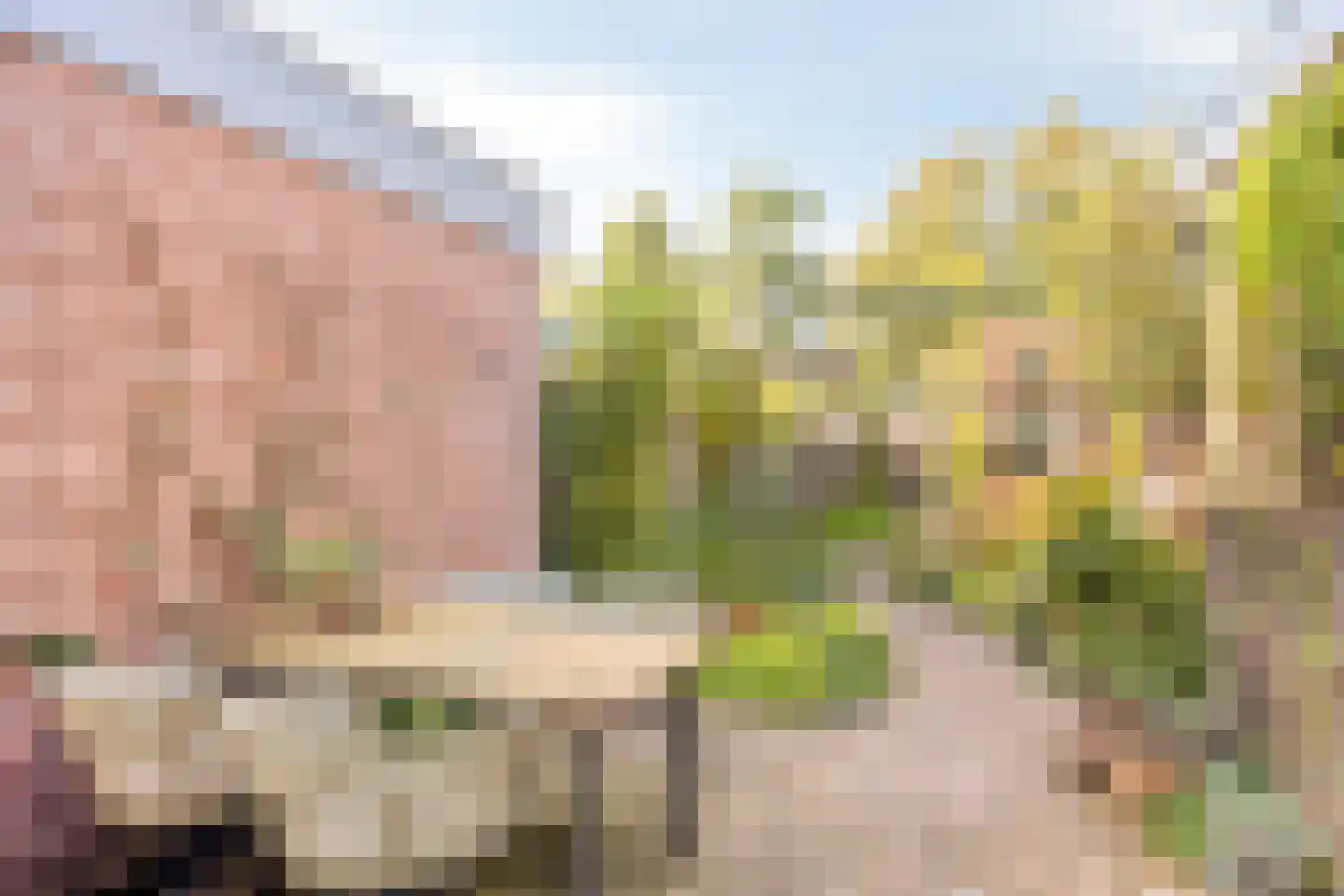 Lindenlaan 3 Rhenen thumbnail 24