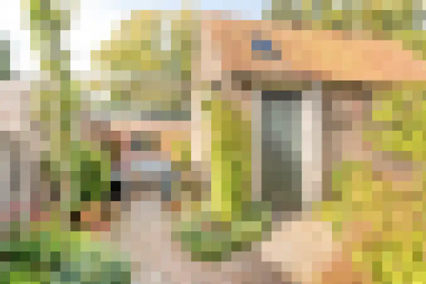 Lindenlaan 3 Rhenen thumbnail 25