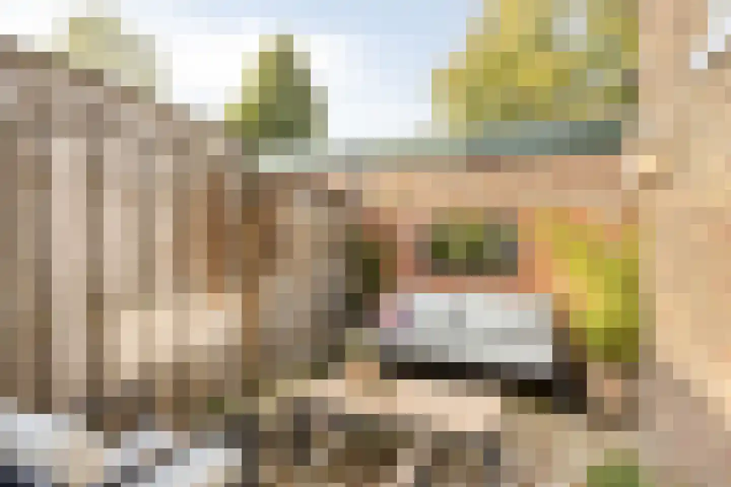 Lindenlaan 3 Rhenen thumbnail 26