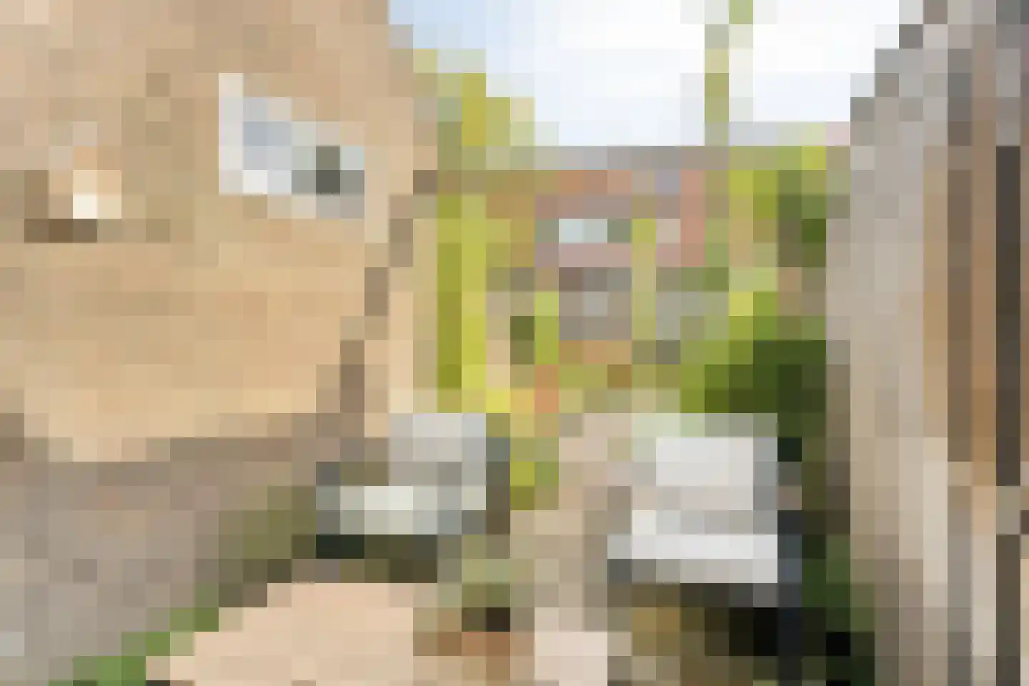 Lindenlaan 3 Rhenen thumbnail 28