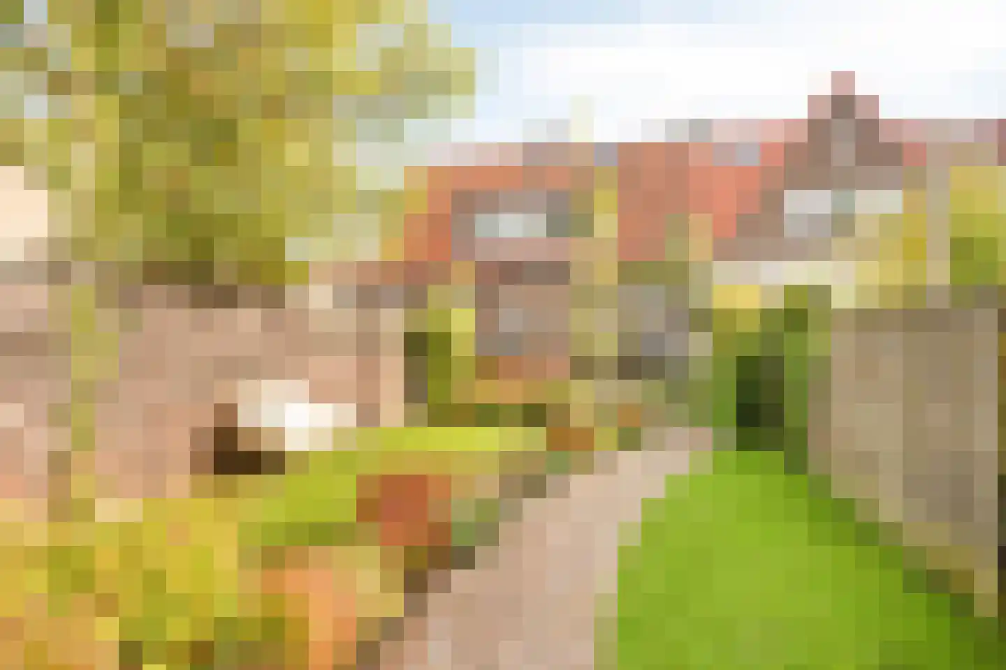 Lindenlaan 3 Rhenen thumbnail 29