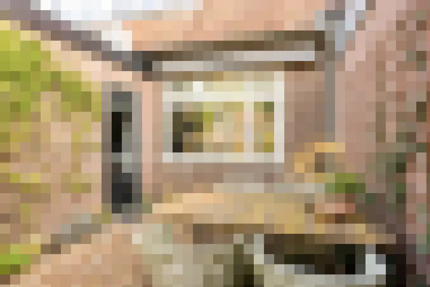 Lindenlaan 3 Rhenen thumbnail 30