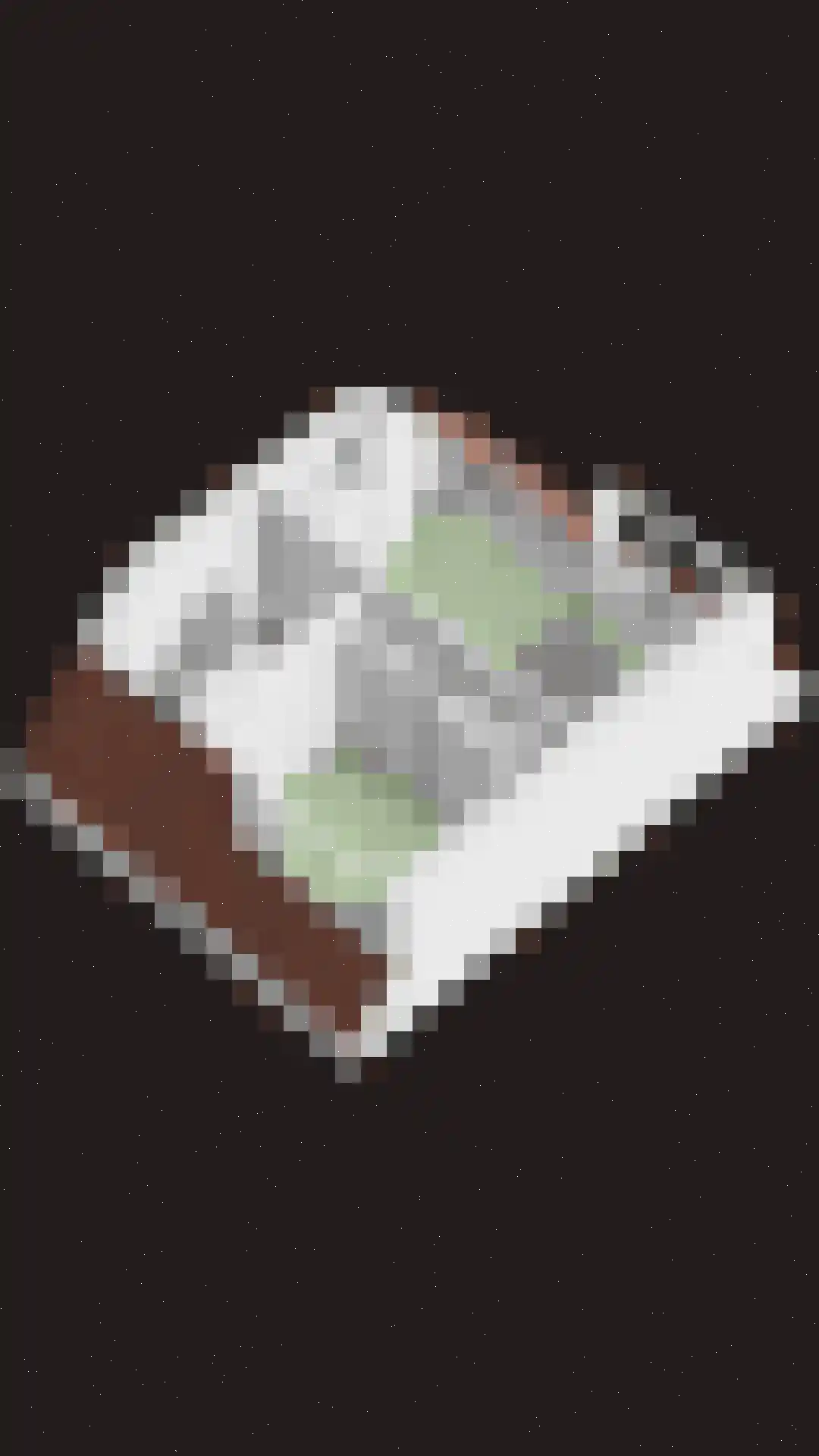 Lindenlaan 3 Rhenen thumbnail 43