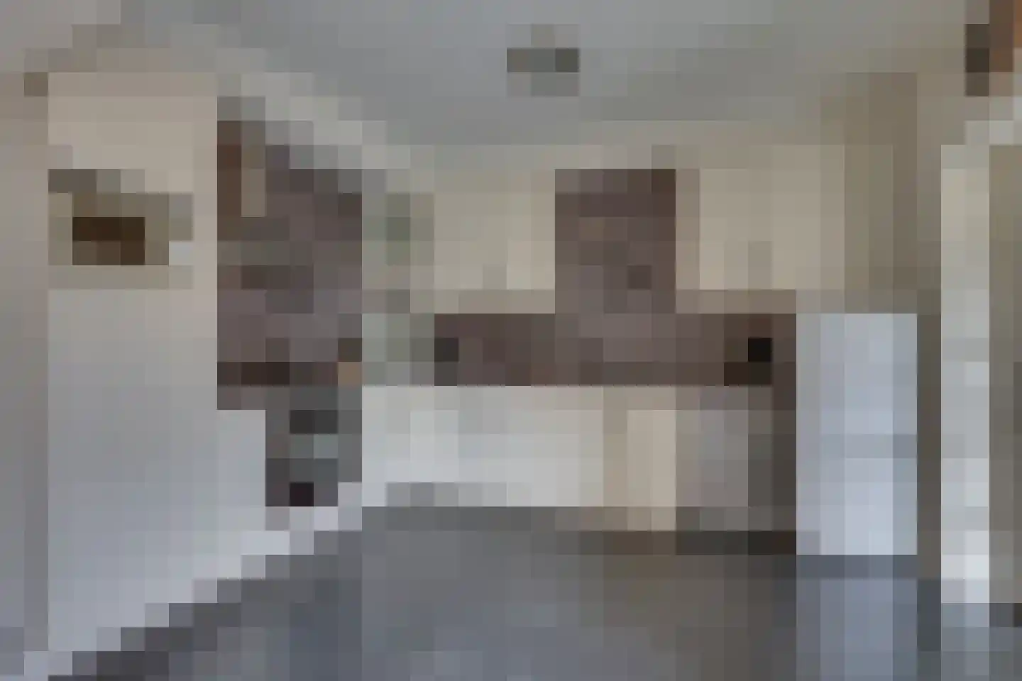 Lindenlaan 3 Rijssen thumbnail 13