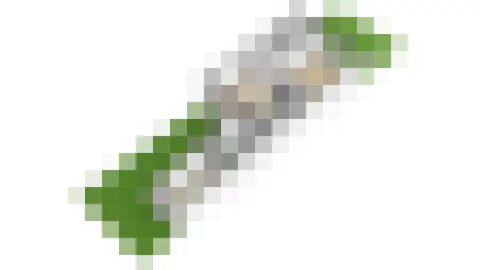 Lindenlaan 3 Rijssen thumbnail 45
