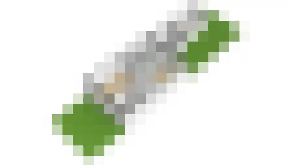 Lindenlaan 3 Rijssen thumbnail 46