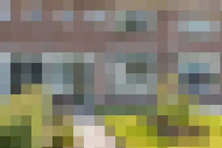 Lindenlaan 3 Wolvega thumbnail 10