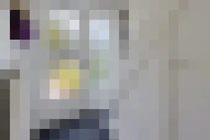 Lindenlaan 3 Wolvega thumbnail 12